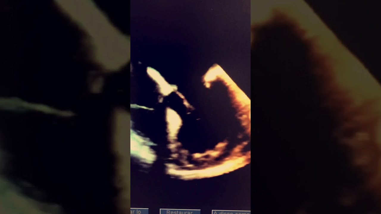 Paulina Orosa Fernández-11