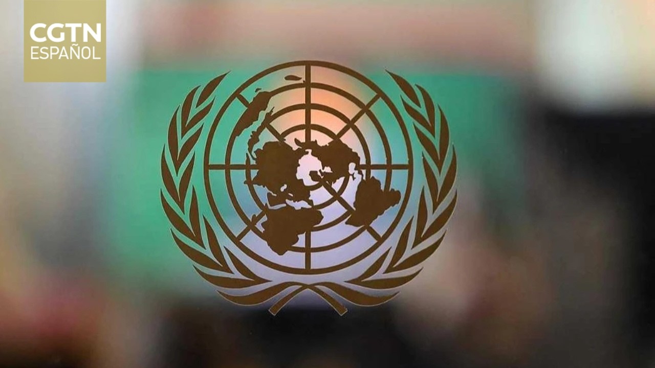 La ONU analiza los últimos vetos del Consejo de Seguridad impuestos por China y Rusia