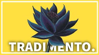 Reserved List: la promessa che ha tradito Magic: the Gathering.