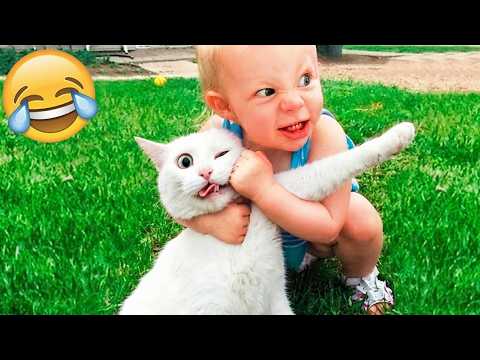 These Cats Are Too Funny 😂🐱 | New Cat Videos 2026 Pop Cat Laugh