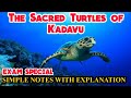 PLUS ONE ENGLISH THE SACRED TURTLES OF KADAVU Malayalam Explanation With SimpleNotes PLUS LEARN