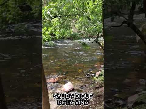 Río de los sauces_Abajo del dique_Campos del Indio Cabañas