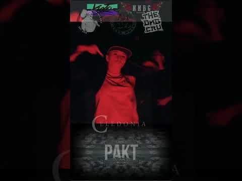 SANER X KOŁO - PAKT #shorts