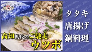 タタキ、唐揚げ、鍋料理…ウツボは高知の秘密食材