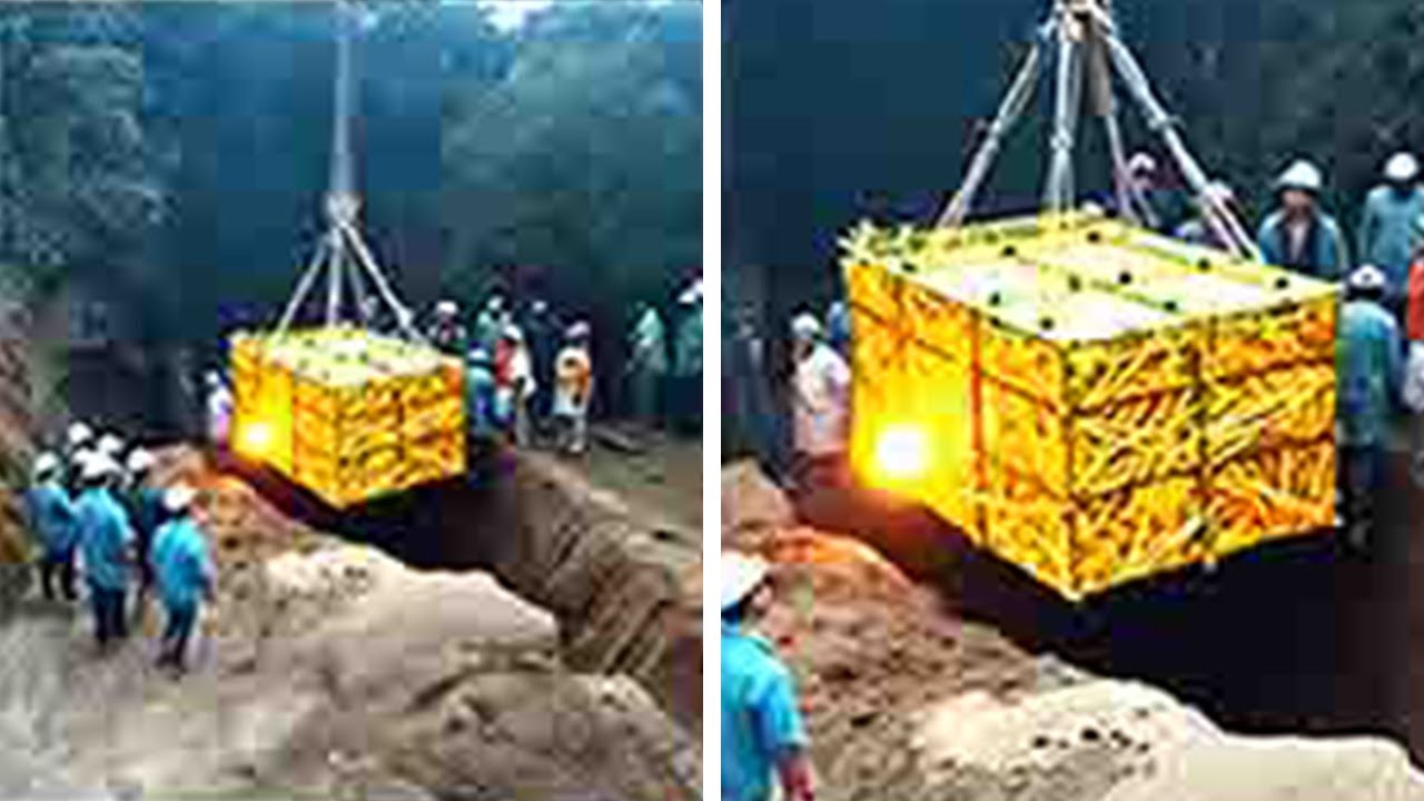 YouTube Thumbnail Downloader FULL HQ IMAGE