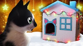 ИДЕАЛЬНЫЙ ПОДАРОК НА НОВЫЙ ГОД 2018 ДЛЯ КОТОВ! КОТ МАЛЫШ И КОШКА МУРКА! ИДЕЯ Подарков На НОВЫЙ ГОД