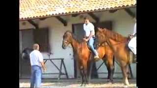 preview picture of video 'Ιππικός Όμιλος - Porto Carras Grand Resort (1995)'