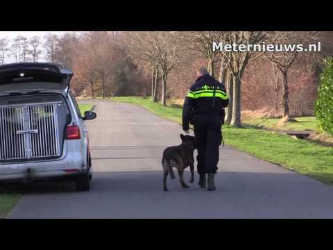 Klopjacht op man in Zevenhuizen(new)