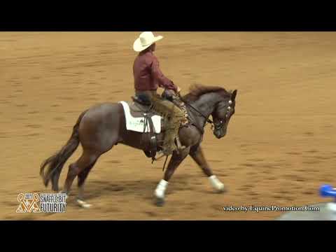 WR Hotshot ridden by Cayley R. Wilson  - 2017 Snaffle Bit Futurity (Rein Work, IO/LO FINALS)