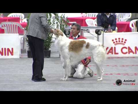 Bastia Umbra 2015 - Gruppo 10