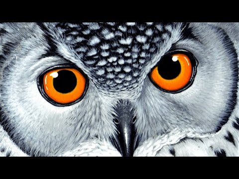 Mad Oddities Weddings & Events Presents: "Always" Styled Shoot featuring Lily and Snape