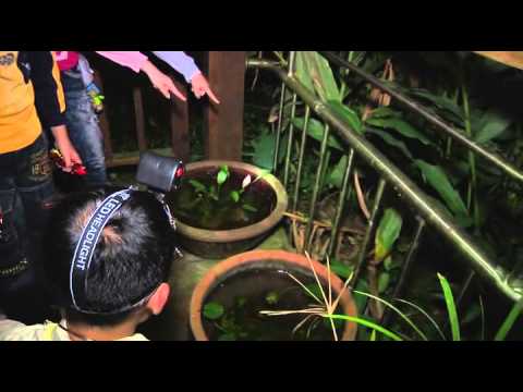 小莫大英雄 池南自然教育中心課程菁華-過夜型環境教育