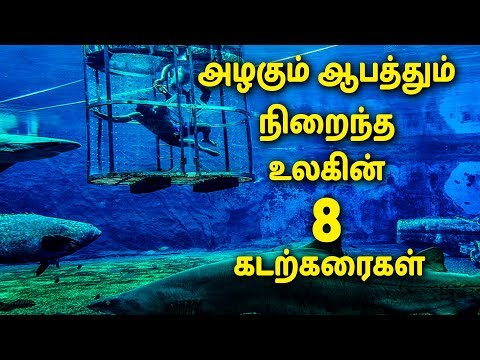 அழகும் ஆபத்தும் நிறைந்த உலகின் 8 கடற்கரைகள் - 8 most dangerous beaches in the world