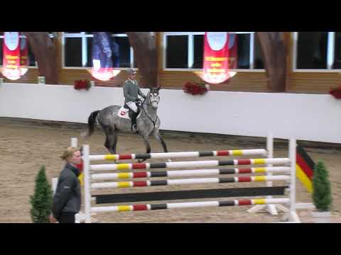 Auf der Hengstvorführung mit Nairobi de Muze