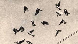 Flying Saucer Attack - hope