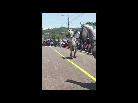 HENRY JARAMILLO Desfile en Santa Clara - Pastaza