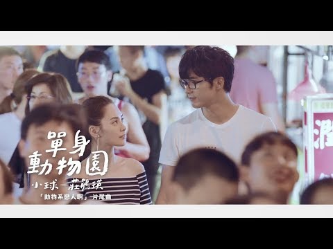 小球-莊鵑瑛《單身動物園》Official MV(都市練愛劇【動物系戀人啊】片尾曲)