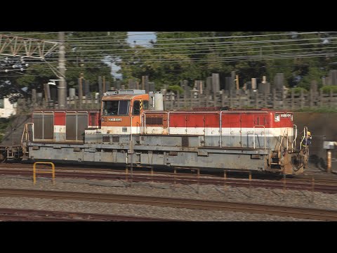 防音仕様のDE11　相模貨物駅で朝陽を浴びた入換