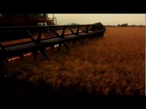 Respect the Land Itself