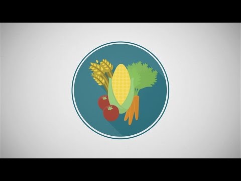 Improving Food Security Through Family Planning: An ENGAGE Snapshot Video thumbnail