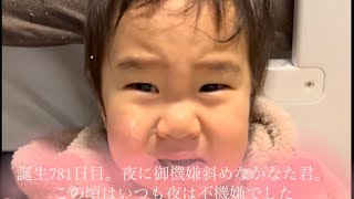 幼児（叶向くん）の成長記録1月1日-3月25日（生後710-798日目）ディズニーランドに行った〜滑り台を登り降りできた