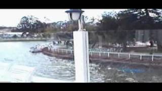 Dalat  good morning mr. sunshine