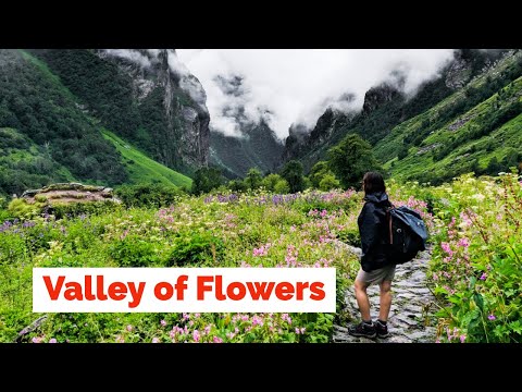 Valley of Flowers Trek | Uttarakhand | Heaven on Earth