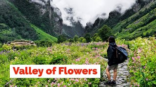 Valley of Flowers Trek  Uttarakhand  Heaven on Ear
