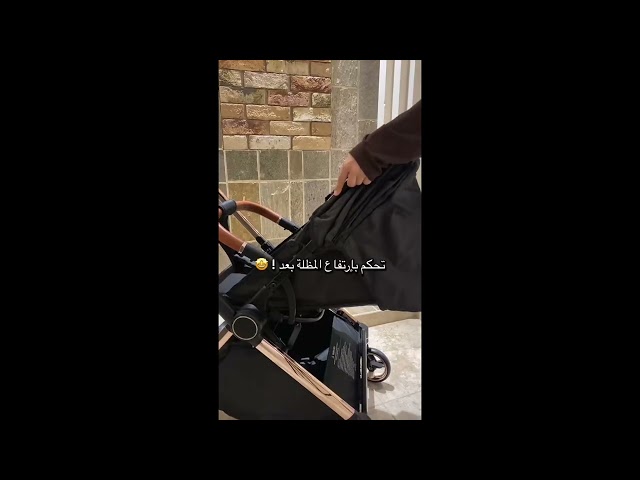 عربة العز