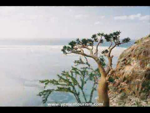 Socotra, Yemen, the dream island