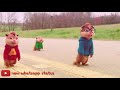 Tere Bin Simmba WhatsApp Status Chipmunk New WhatsApp Status Tere Bin Chipmunk Version Status