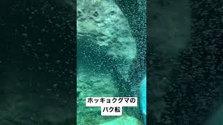 ホッキョクグマのバク転見た事ありますか？#動物 #animals