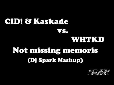 CID & Kaskade vs. WHTKD - Not Missing Memories (Dj Spark Mashup)
