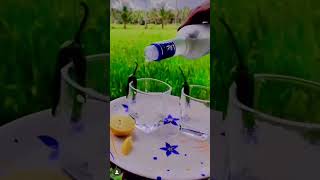Magic moment Nature vibe #lemon #vodka #shorts #whiskey #alcohol #beer #cocktail #gin #scotch #rum