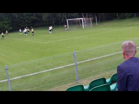 WIWA GOSZCZ - WIDAWA PSARY 30.05.2010