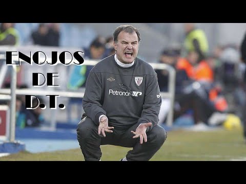 TOP 10 - Enojos de D.T.