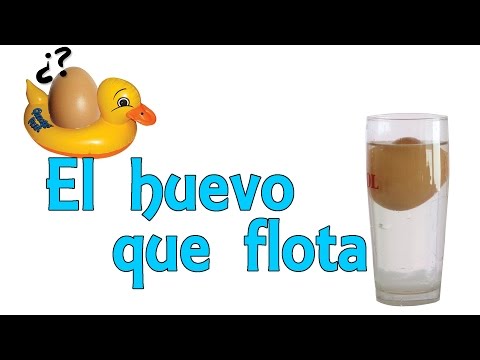 El huevo que flota (Experimentos Caseros)