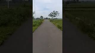 Download lagu istana bintang #st12 #popmelayu mp3