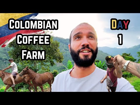 Bogotá 🇨🇴 → Génova (Quindío) — Volunteering on a Coffee Farm