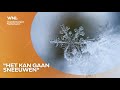 Weer: kouder en mogelijk ook sneeuw