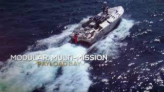 Common Unmanned Surface Vehicle (CUSV)