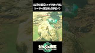 10秒で面白い イワロックにレーザー冠をあげるリンクｗｗ【ゼルダの伝説 ティアーズ オブ ザ キングダム】