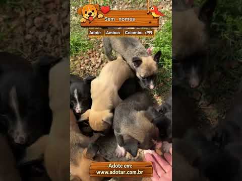 Vídeo de Sem nomes 