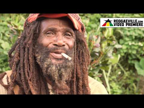 Binghi - Rastafari Love [Official Video 2025]