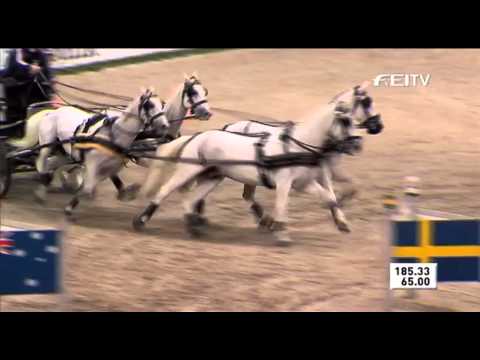 FEI World Cup Driving 2012/13 Stuttgart - IJsbrand Chardon (2nd)