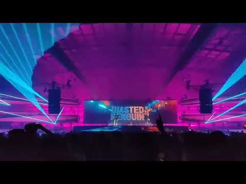 Waster Penguinz "Extension" : HTID 2024 Sydney