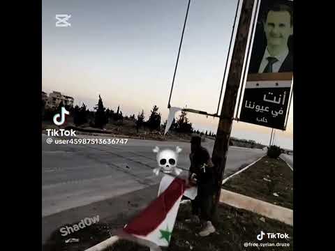 Free Syria!!!! 🟢 #shorts #syria #greensyria #freesyria #edit #fyp