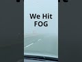 HAVE You Driven in FOG as THICK as Pea Soup?