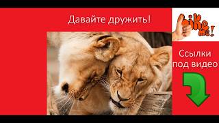 Как добавить в Друзья в Liveinternet  и стать постоянным читателем Как вступить в сообщество Liveinternet _ урок 4

Сообщество Москва и Подмосковье #ДеньМосквы #ДеньМосквыРФ #соцрепост

Найти друзей,добавить в друзья, стать