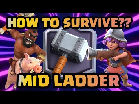 How to play 2.6 Hog Cycle in Mid Ladder🔥